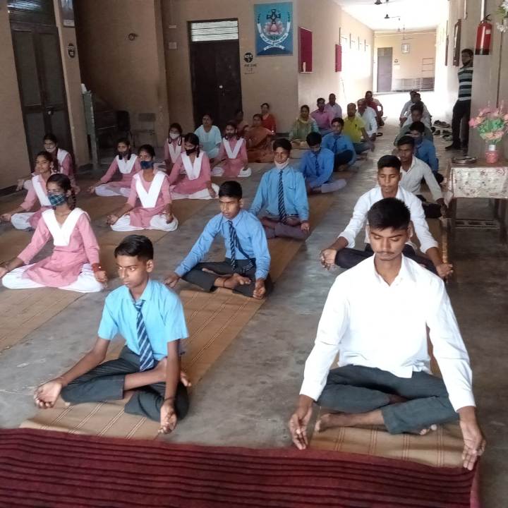 a forest after an apocalypse